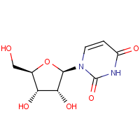 CAS: 58-96-8 | OR18386 | Uridine