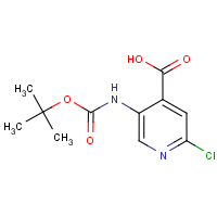 CAS: 171178-46-4 | OR18623 | 5-Amino-2-chloroisonicotinic acid, 5-BOC protected
