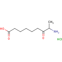 CAS:177408-65-0 | OR1875T | (8S)-8-Amino-7-oxononanoic acid hydrochloride