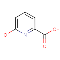 CAS: 19621-92-2 | OR1911 | 6-Hydroxypyridine-2-carboxylic acid