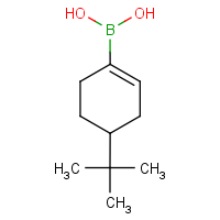 CAS: 850567-91-8 | OR1926 | 4-(tert-Butylcyclohexen-1-yl)boronic acid