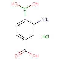 CAS: 850568-60-4 | OR1934 | 2-Amino-4-carboxybenzeneboronic acid hydrochloride