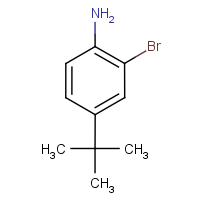 CAS: 103273-01-4 | OR19485 | 2-Bromo-4-(tert-butyl)aniline