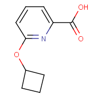 CAS:1250298-25-9 | OR200163 | 6-Cyclobutoxypyridine-2-carboxylic acid