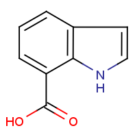 CAS: 1670-83-3 | OR2083 | 1H-Indole-7-carboxylic acid