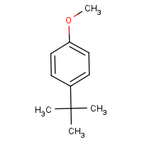 CAS: 5396-38-3 | OR2202 | 4-(tert-Butyl)anisole