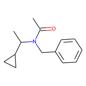 CAS:255713-86-1 | OR22643 | N1-benzyl-N1-(1-cyclopropylethyl)acetamide