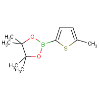 CAS:476004-80-5 | OR2393 | 5-Methylthiophene-2-boronic acid, pinacol ester