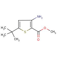 CAS: 175137-03-8 | OR24275 | Methyl 3-amino-5-(tert-butyl)thiophene-2-carboxylate