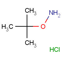 CAS: 39684-28-1 | OR24583 | O-(tert-Butyl)hydroxylamine hydrochloride