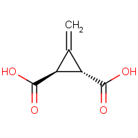 CAS:499-02-5 | OR24646 | 3-Methylenecyclopropane-trans-1,2-dicarboxylic acid