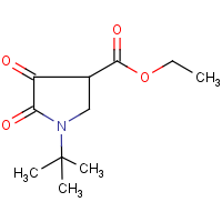 CAS: 5336-48-1 | OR25022 | Ethyl 1-(tert-butyl)-4,5-dioxopyrrolidine-3-carboxylate