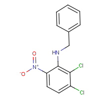 CAS:680212-51-5 | OR25862 | N-Benzyl-2,3-dichloro-6-nitroaniline