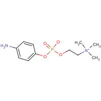 CAS: 102185-28-4 | OR2600T | 4-Aminophenyl 2-(trimethylammonio)ethyl phosphate