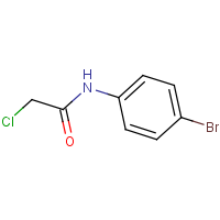 CAS: 2564-02-5 | OR26967 | N1-(4-bromophenyl)-2-chloroacetamide
