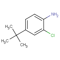 CAS: 42265-67-8 | OR27179 | 4-tert-Butyl-2-chloroaniline