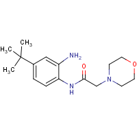 CAS: 287927-90-6 | OR27203 | N-[2-Amino-4-(tert-butyl)phenyl]-2-(morpholin-4-yl)acetamide