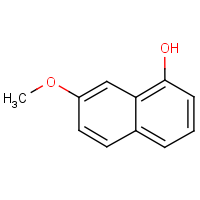 CAS: 67247-13-6 | OR27684 | 7-methoxy-1-naphthol