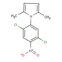CAS: 302901-02-6 | OR27703 | 1-(2,5-Dichloro-4-nitrophenyl)-2,5-dimethyl-1H-pyrrole