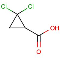 CAS: 5365-14-0 | OR27835 | 2,2-dichlorocyclopropane-1-carboxylic acid