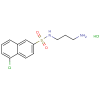 CAS:210049-20-0 | OR2830T | N-(3-Aminopropyl)-5-chloronaphthalene-2-sulphonamide hydrochloride
