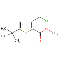 CAS: 252914-61-7 | OR29001 | Methyl 5-(tert-butyl)-3-(chloromethyl)thiophene-2-carboxylate