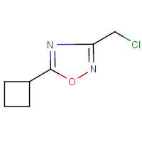 CAS: 259683-88-0 | OR29355 | 3-(Chloromethyl)-5-cyclobutyl-1,2,4-oxadiazole