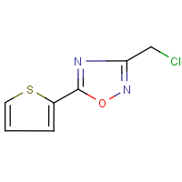 CAS:306936-06-1 | OR29411 | 3-(Chloromethyl)-5-(2-thienyl)-1,2,4-oxadiazole