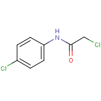 CAS: 3289-75-6 | OR29570 | 2-Chloro-N-(4-chlorophenyl)acetamide