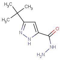 CAS:262292-02-4 | OR29615 | 3-(tert-Butyl)-1H-pyrazole-5-carbohydrazide