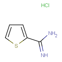 CAS:54610-70-7 | OR2996 | Thiophene-2-carboxamidine hydrochloride