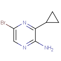 CAS:1845754-43-9 | OR300237 | 5-Bromo-3-cyclopropylpyrazin-2-amine