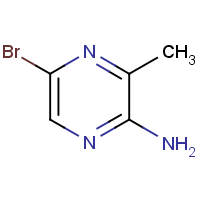 CAS:74290-67-8 | OR300250 | 5-Bromo-3-methylpyrazin-2-amine
