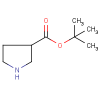 CAS: 91040-52-7 | OR300504 | tert-Butyl pyrrolidine-3-carboxylate