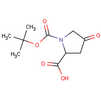 CAS:876317-19-0 | OR300927 | 1-tert-(Butoxycarbonyl)pyrrolidin-4-one-2-carboxylic acid