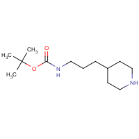 CAS:885268-87-1 | OR301221 | tert-Butyl 3-(piperidin-4-yl)propylcarbamate