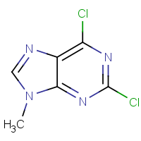 CAS: 2382-10-7 | OR301325 | 2,6-Dichloro-9-methyl-9H-purine