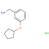 CAS: 1235441-67-4 | OR301360 | 3-(Cyclopentyloxy)benzenemethanamine hydrochloride