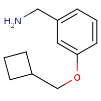 CAS:1061650-69-8 | OR301361 | (3-(Cyclobutylmethoxy)phenyl)methanamine