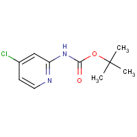 CAS: 130721-78-7 | OR301375 | 2-(Boc-amino)-4-chloropyridine