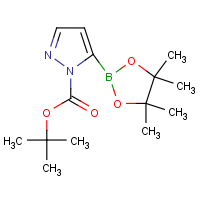 CAS:1256359-17-7 | OR302121 | 1H-Pyrazole-5-boronic acid, pinacol ester, N1-BOC protected