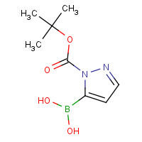 CAS:1217500-54-3 | OR302126 | 1H-Pyrazole-5-boronic acid, N1-BOC protected