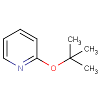 CAS: 83766-88-5 | OR302217 | 2-(tert-Butoxy)pyridine