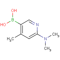 CAS: 535934-70-4 | OR302300 | (6-(Dimethylamino)-4-methylpyridin-3-yl)boronic acid