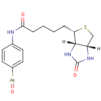 CAS:  | OR302597 | N-(4-Arsorylphenyl)-5-((3aS,4S,6aR)-2-oxohexahydro-1H-thieno[3,4-d]imidazol-4-yl)pentanamide