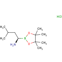 CAS:1243174-57-3 | OR302599 | (R)-3-Methyl-1-(4,4,5,5-tetramethyl-1,3,2-dioxaborolan-2-yl)butan-1-amine hydrochloride