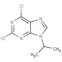 CAS:203436-45-7 | OR302631 | 2,6-Dichloro-9-isopropyl-9H-purine