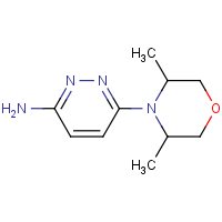 CAS: 736879-79-1 | OR302729 | 6-(3,5-Dimethylmorpholino)pyridazin-3-amine