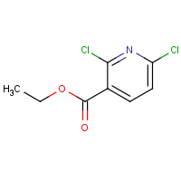 CAS: 58584-86-4 | OR303082 | Ethyl 2,6-dichloropyridine-3-carboxylate
