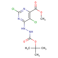 CAS:1432892-68-6 | OR303264 | Methyl 6-({[(tert-butoxy)carbonyl]amino}amino)-2,5-dichloropyrimidine-4-carboxylate